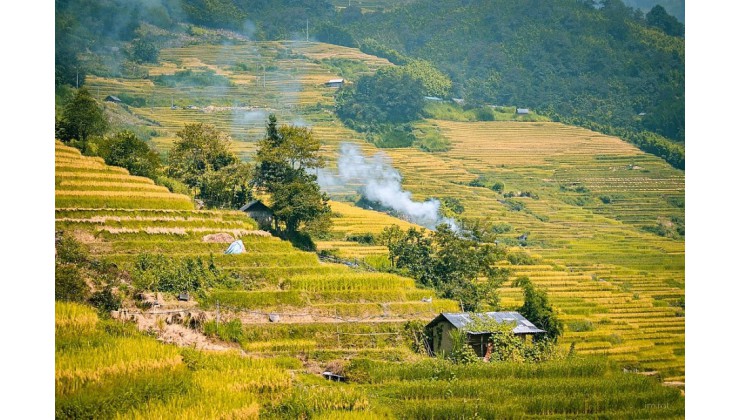 DU LỊCH 4 MÙA Y TÝ-SAPA2,VỊ TRÍ ĐẮC ĐỊA TIỀM NĂNG SINH LỜI CAO